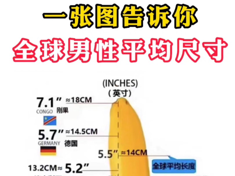 一张图告诉你各国男性平均尺寸,对照下你拖后腿了吗?哔哩哔哩bilibili