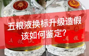 下载视频: 震惊！五粮液还有人换标升级造假？太过分了！该如何鉴定你知道吗？