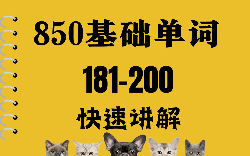 850个英语基础单词|181200|高考/专升本/四六级/考研适用哔哩哔哩bilibili