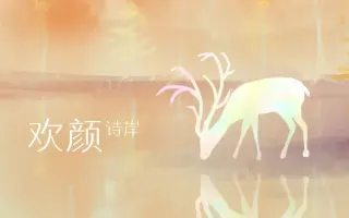 诗岸诞生日 搜索结果 哔哩哔哩 Bilibili