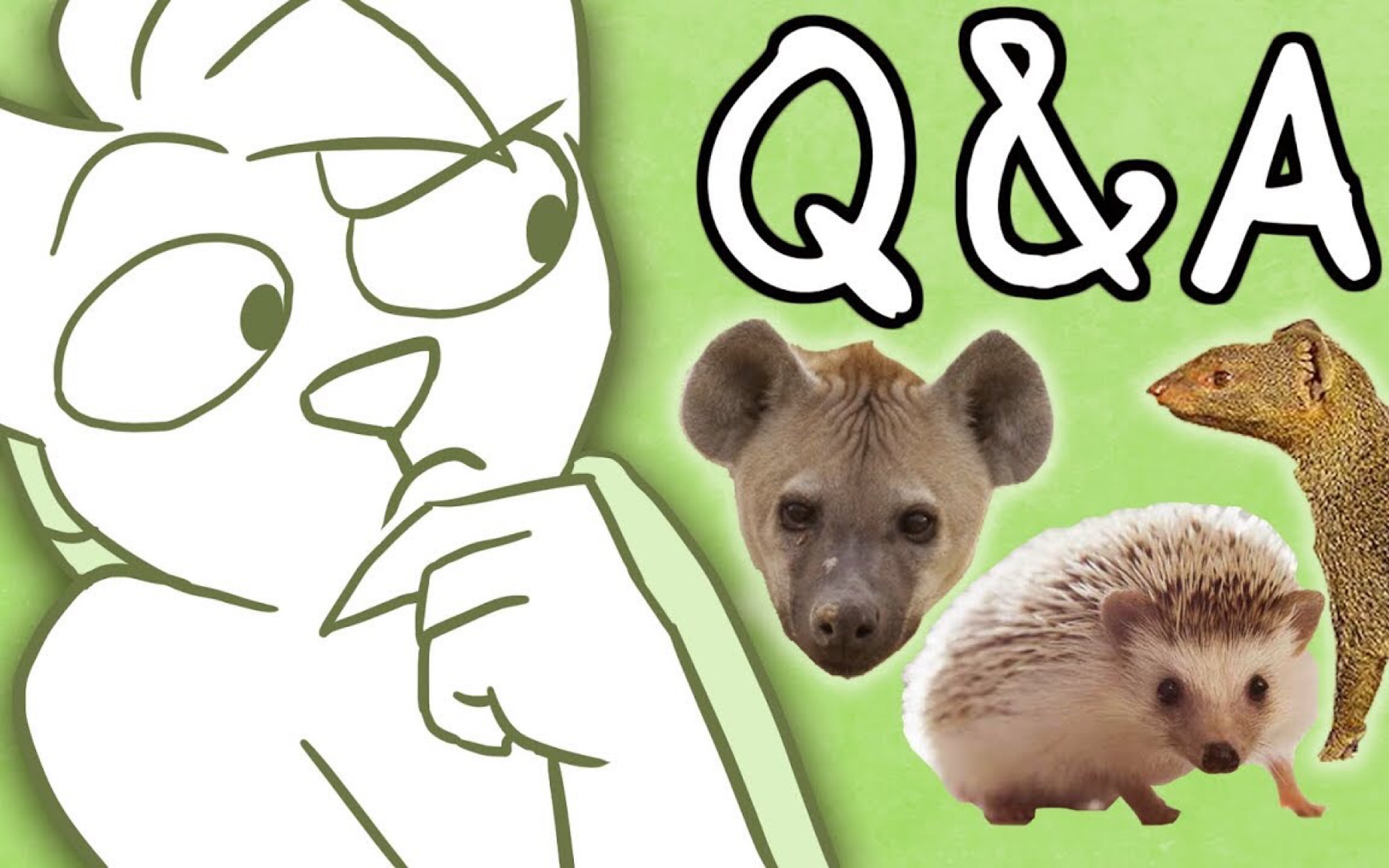 reedflower到底是什么动物问答露脸