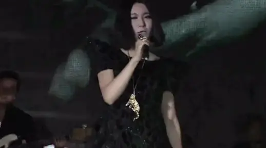 尚雯婕《气泡》《Dog days are over》《废弃的爱》《To Mcqueen》| 2013草莓音乐节