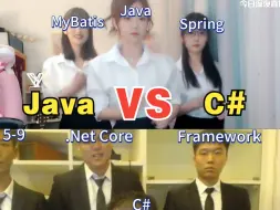 Download Video: Java乞业文化 VS C#乞业文化