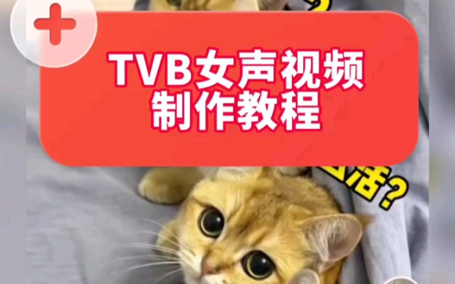 TVB女声语音包教程,呐,不会还有人不知道TVB女声的配音怎么做吧哔哩哔哩bilibili