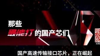 国产高速传输接口芯片，正在崛起