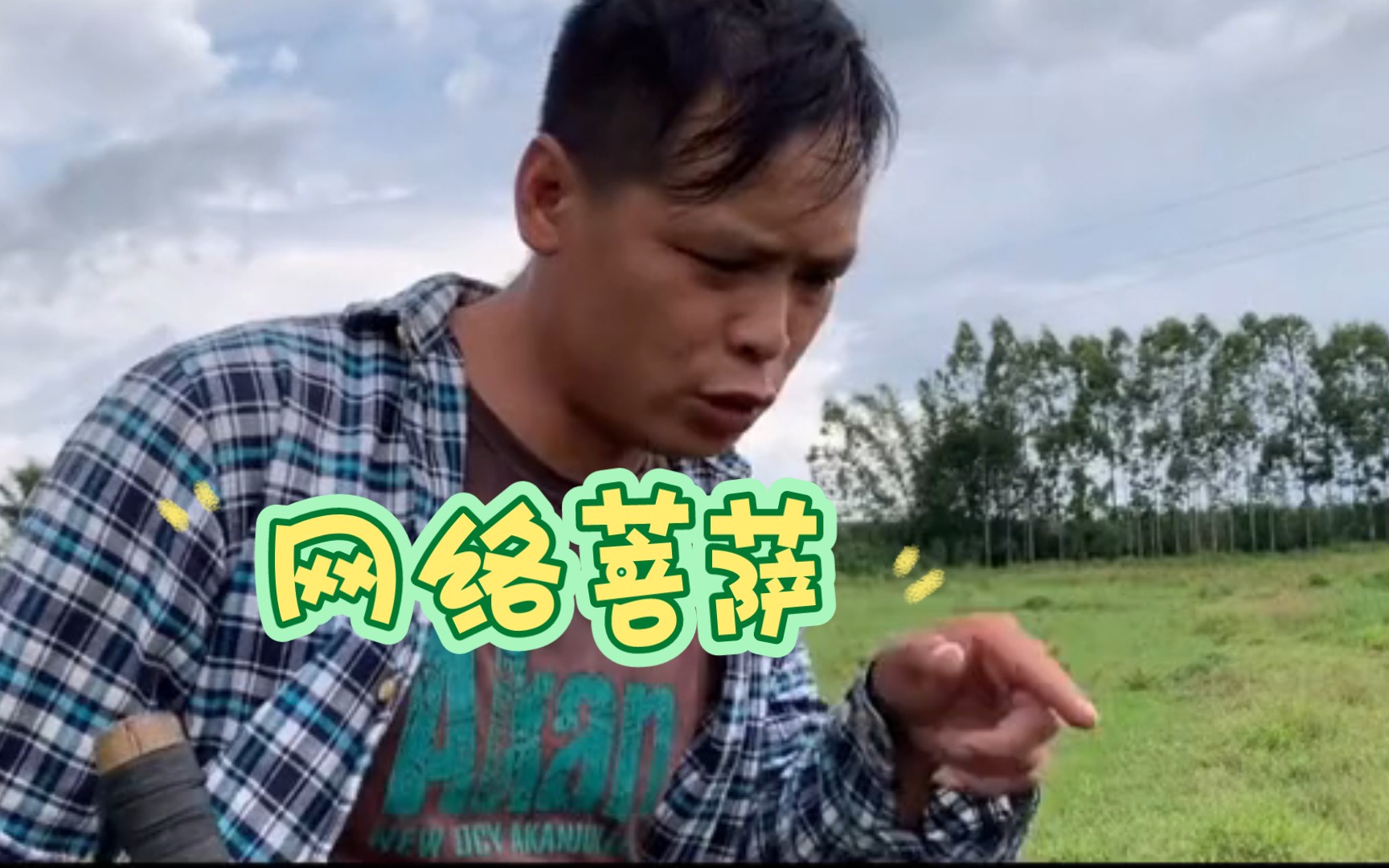 怎么有这么多网络菩萨 # 红火蚁 # 逆天哔哩哔哩bilibili