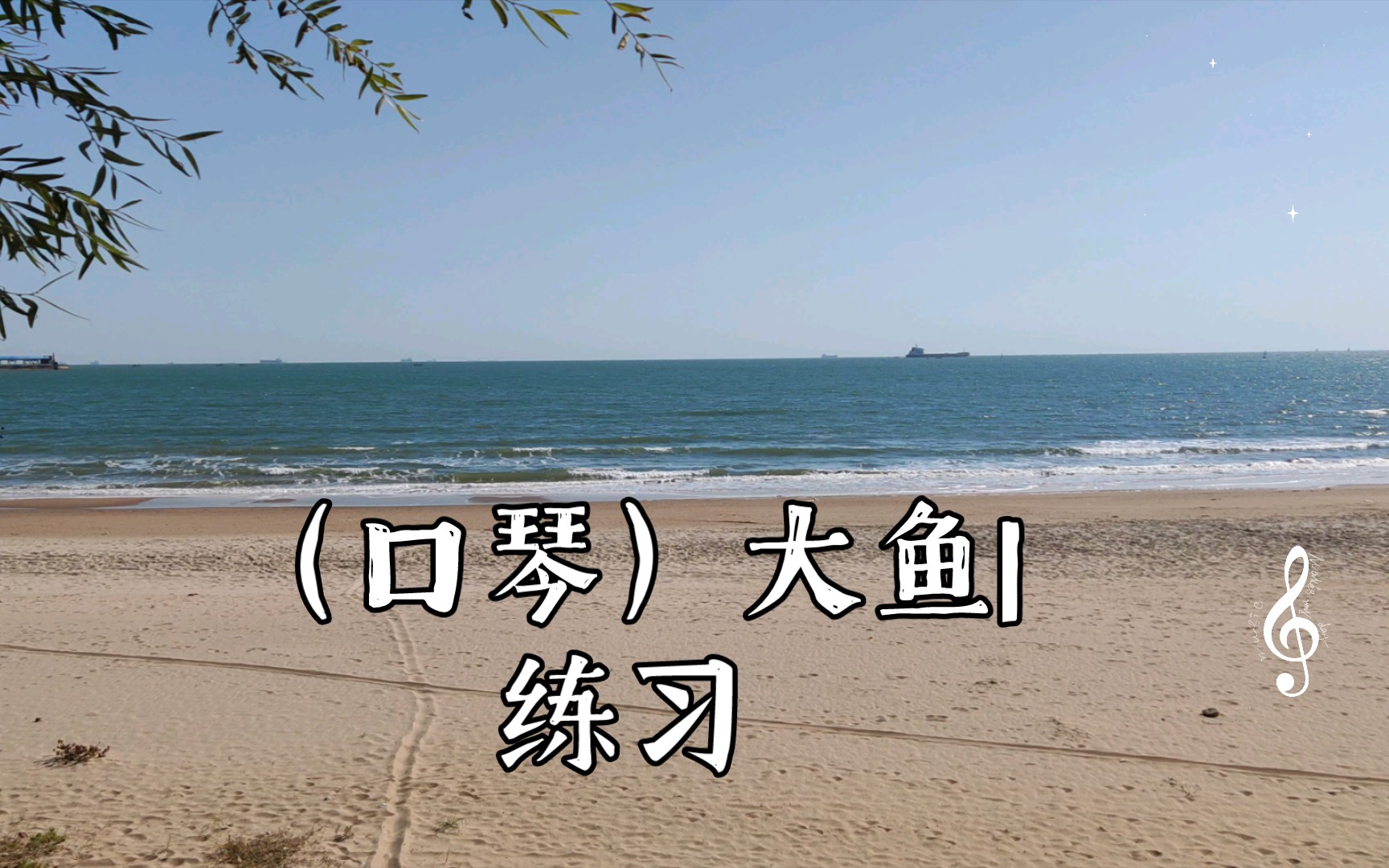 (口琴)大鱼|练习