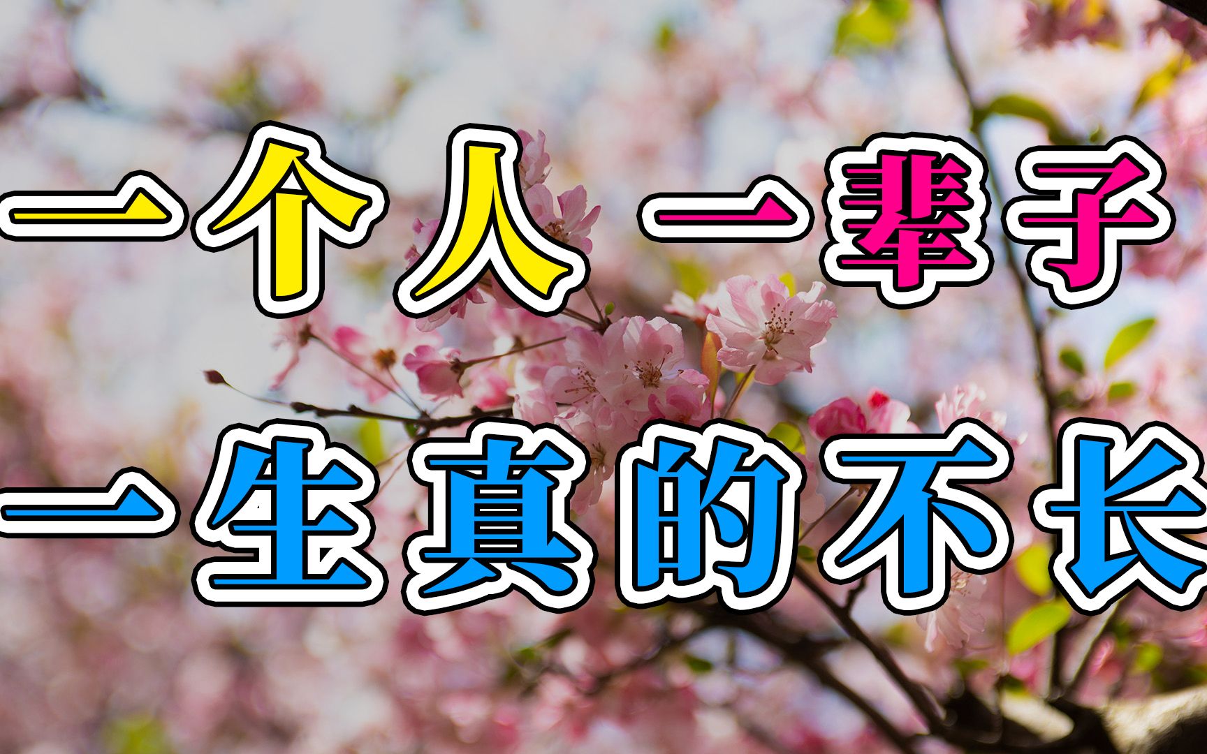 一个人一辈子 一生真的不长