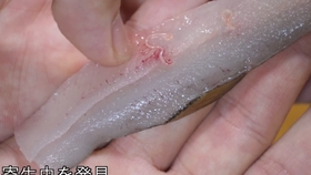 自制字幕 海鲜小哥金子 寄生虫放进油里炸 隔壁小孩都馋哭了 哔哩哔哩 つロ干杯 Bilibili