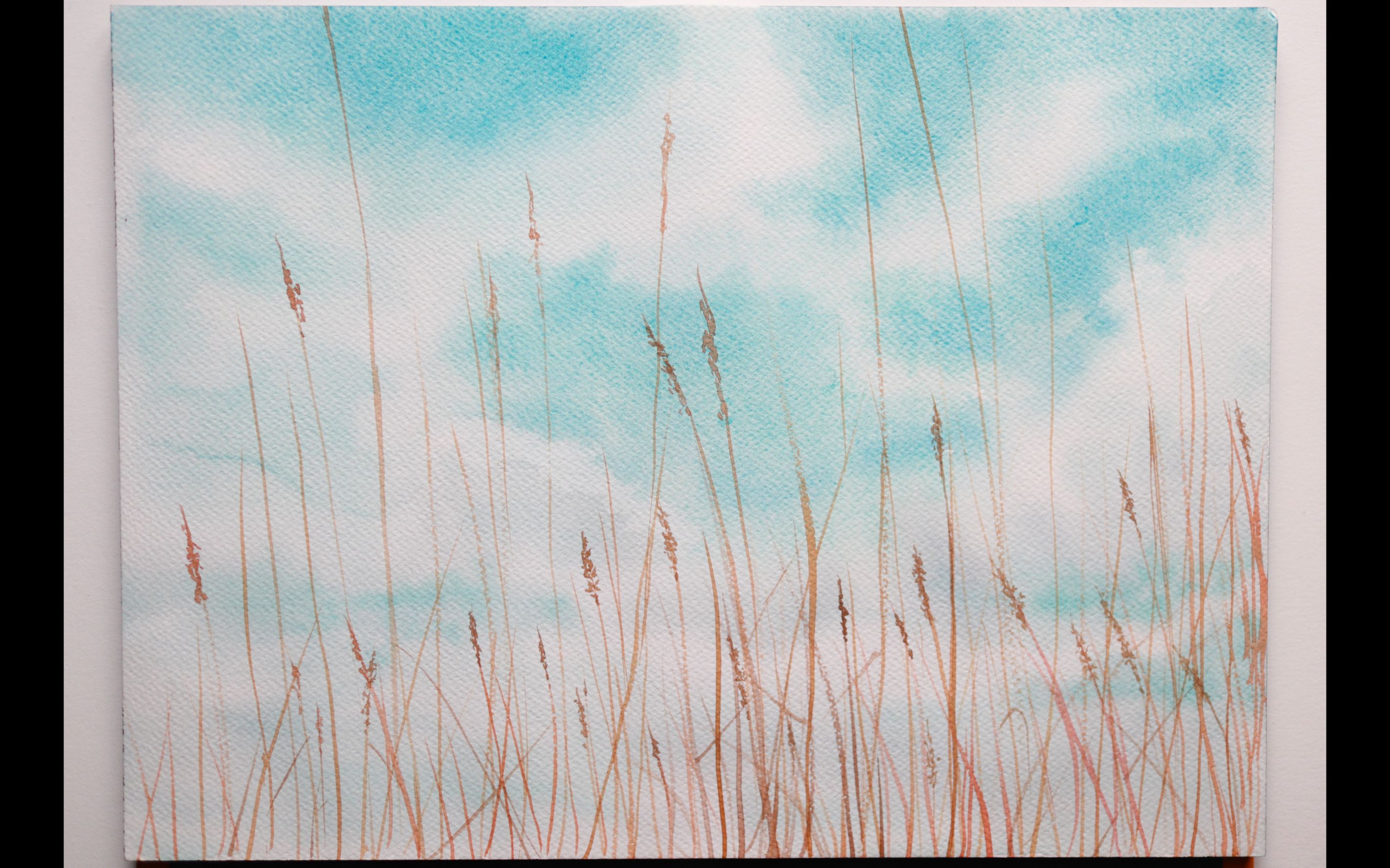 【水彩教程慢速版】 蔚蓝的天空下高高的芦苇丛 水彩画新手教程