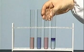 [图]初中化学实验58.酸碱指示剂