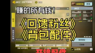 Download Video: 国一百榜JAK12腰射+龙息+举镜配件及背包搭配！