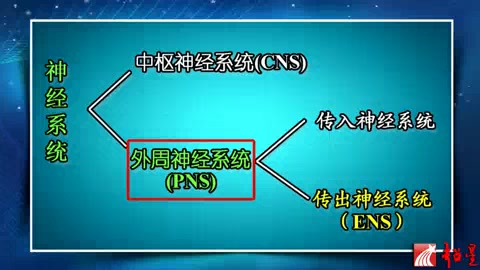 [图]南方医科大学 药理学 全18讲 主讲-李琳 视频教程