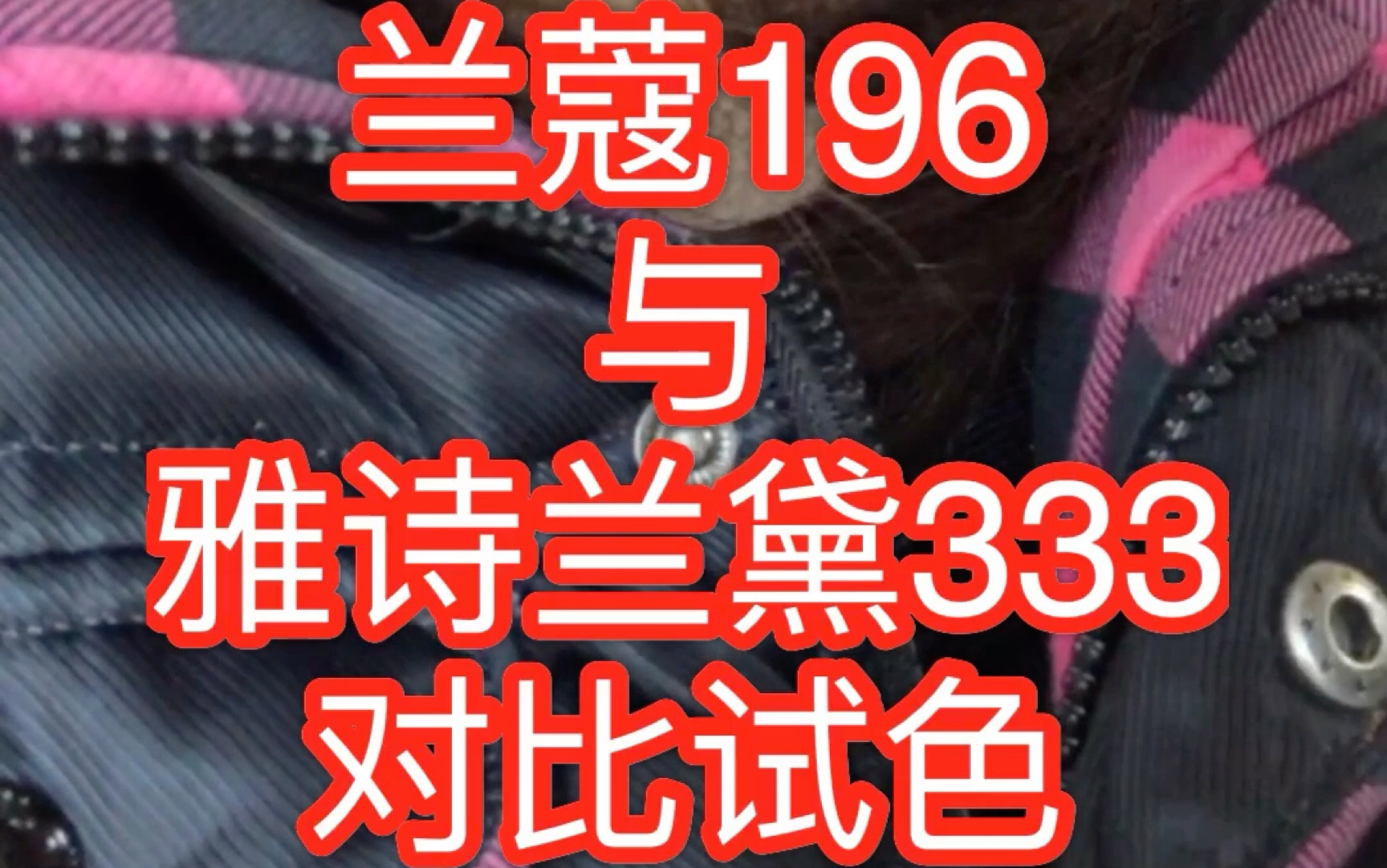 兰蔻196 雅诗兰黛333 对比试色哔哩哔哩bilibili