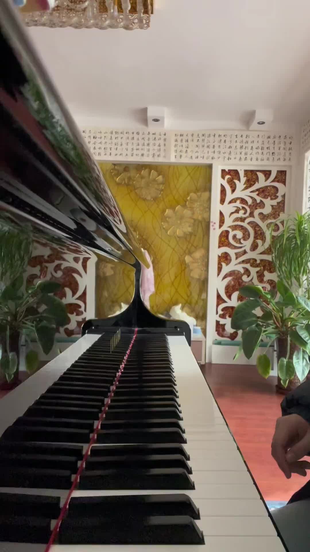 日常练琴学琴之路钢琴张菁练琴过年和练琴不冲突吃饱了练琴更有劲