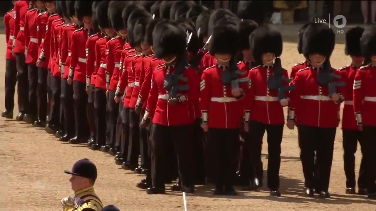 [图]英国皇家卫队阅兵庆典14 15 16 17 18 19 20年版本合集 （BGM：掷弹兵进行曲）