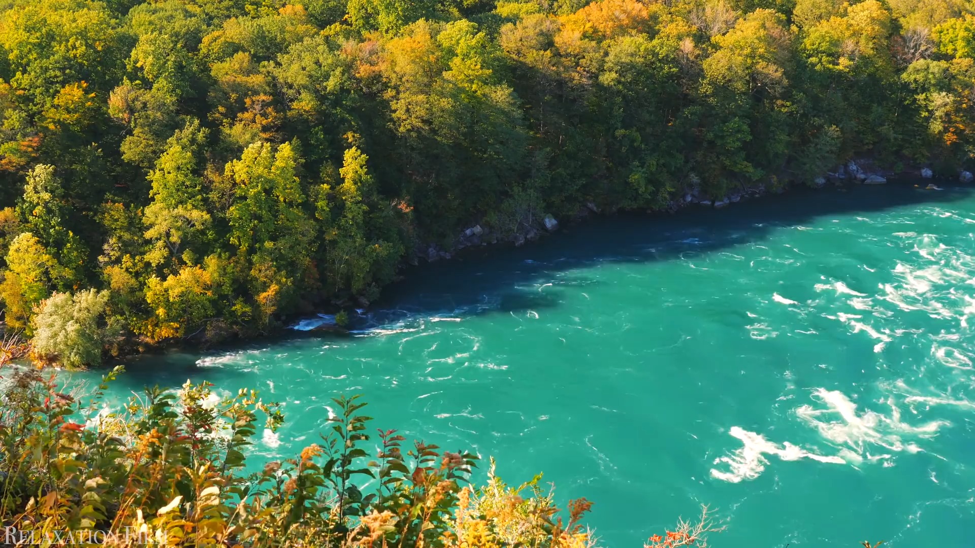 www 全新发布引爆网络热潮，三秒热度席卷全网，千万用户蜂拥而至，现象级事件引发关注