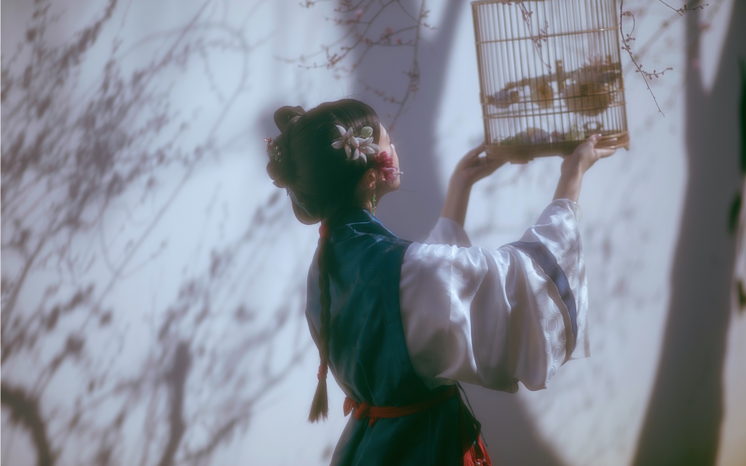 "如梦幻泡影,如露亦如电"丨汉服视频