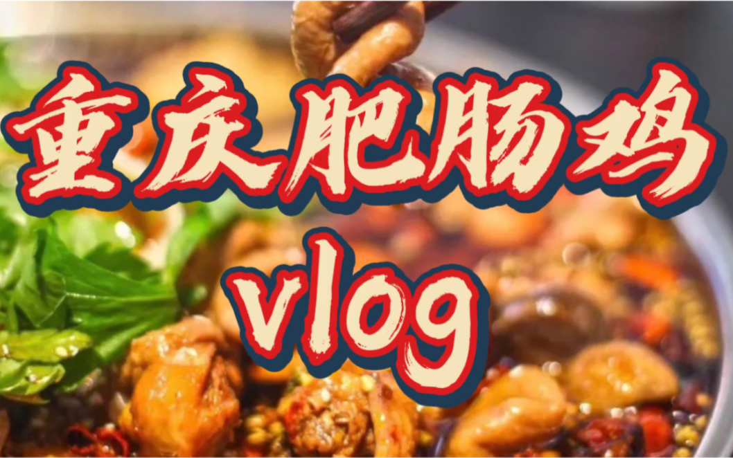 重庆肥肠鸡vlog,肥肠和鸡一起煮,大众点评重庆江湖菜排名第一.哔哩哔哩bilibili