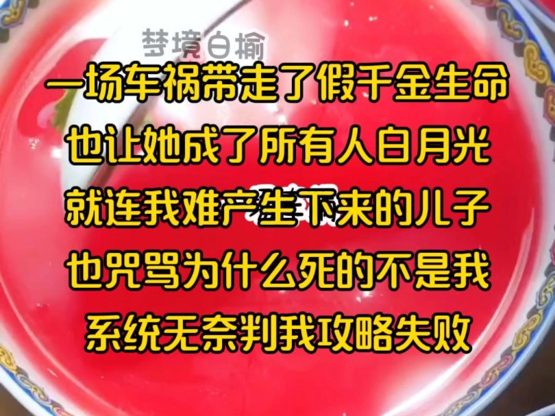 一场车祸带走了假千金生命,也让她成了所有人白月光,就连我难产生下来的儿子,也咒骂为什么S的不是我,系统无奈判我攻略失败哔哩哔哩bilibili