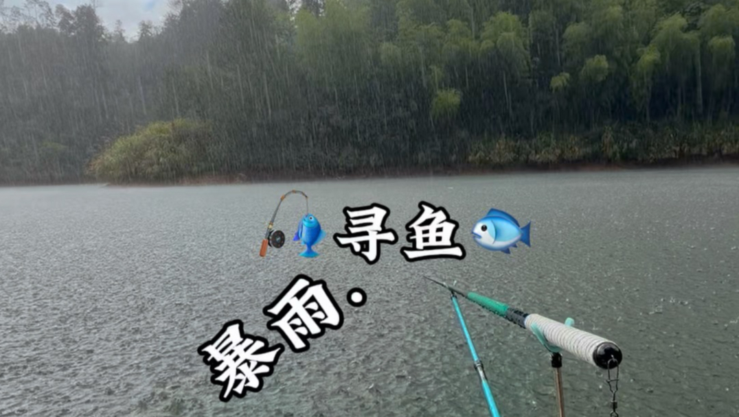 暴雨.寻鱼