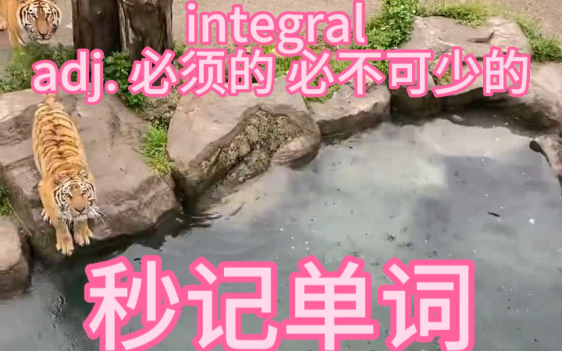 秒记单词integral 高中选择性必修单词哔哩哔哩bilibili