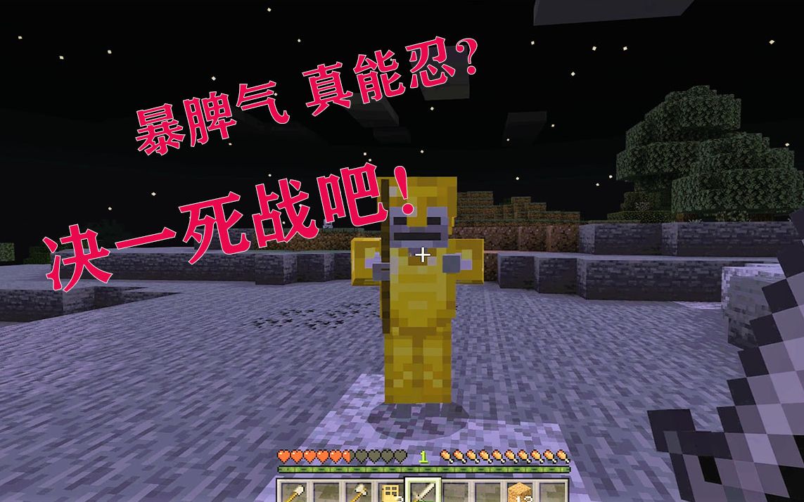 我的世界生存日记02被小绿追着跑黑夜出去打他也是很刺激的呢