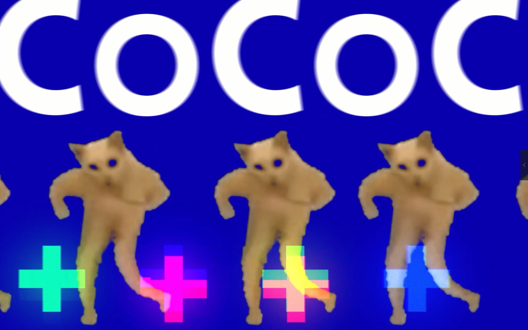 [图]我是一个椰子不是CoCo🥥