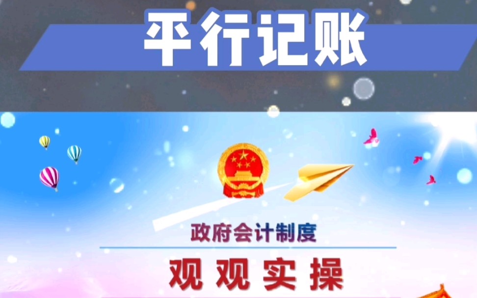 政府会计那些业务需要平行记账哔哩哔哩bilibili