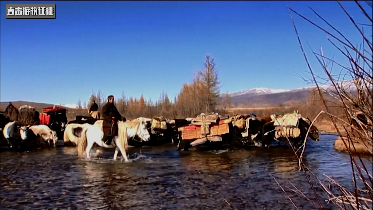 蒙古游牧民的大迁徙哪儿会有仪式感!携眷拖家带领牲畜跋涉之旅!_哔哩