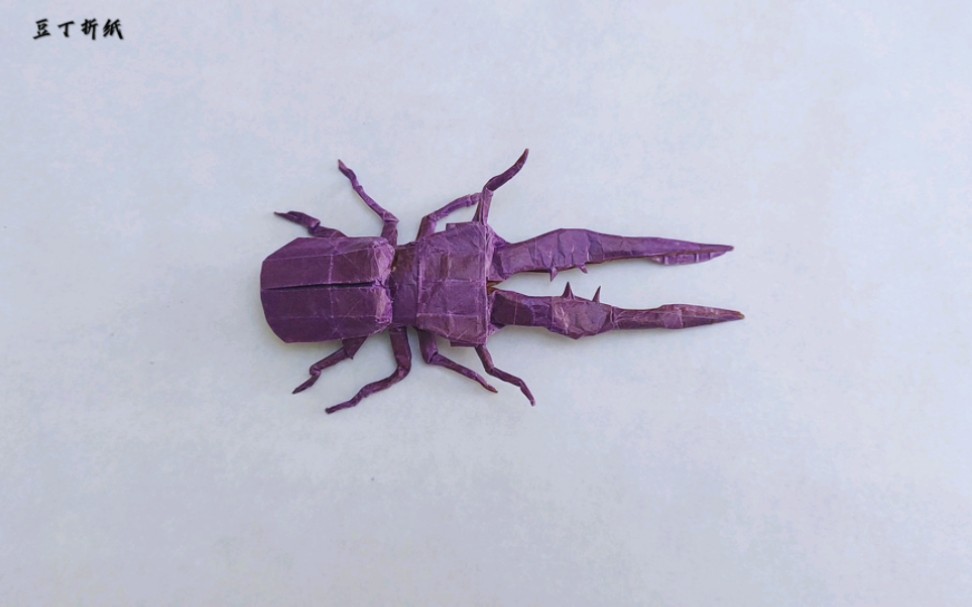 折纸锹甲!丁丁爱折纸!