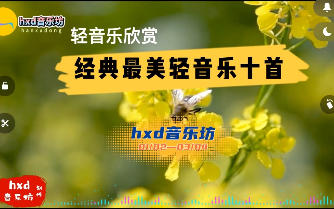 轻音乐欣赏/经典最美轻音乐十首哔哩哔哩bilibili