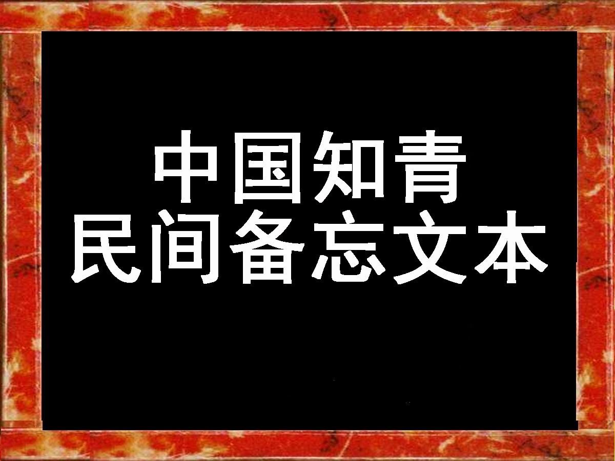 《中国知青民间备忘文本》11册还原民间记忆的真正的纪实文学与历史哔哩哔哩bilibili