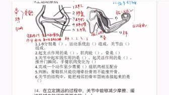 Download Video: 初中生物一运动系统