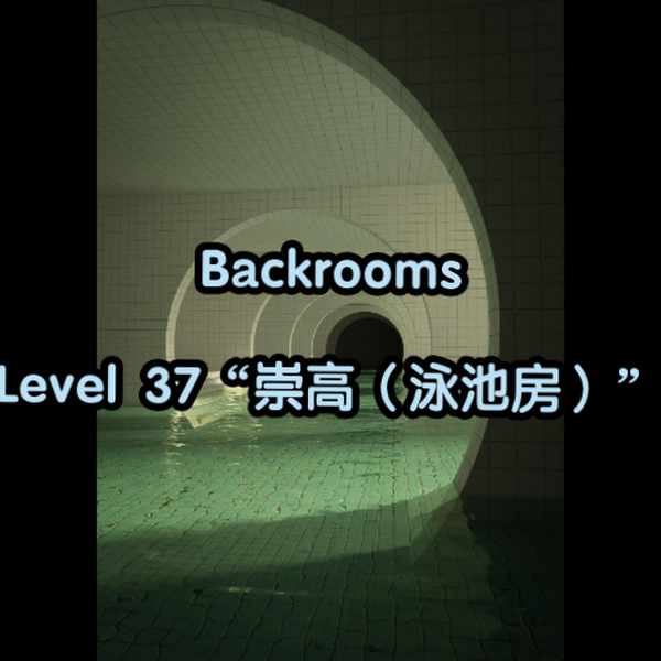 Backrooms系列】在这里，可以让你的身体和心灵得到完全放松Level 37 崇高_哔哩哔哩_bilibili