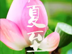 下载视频: 二十四节气 · 夏至