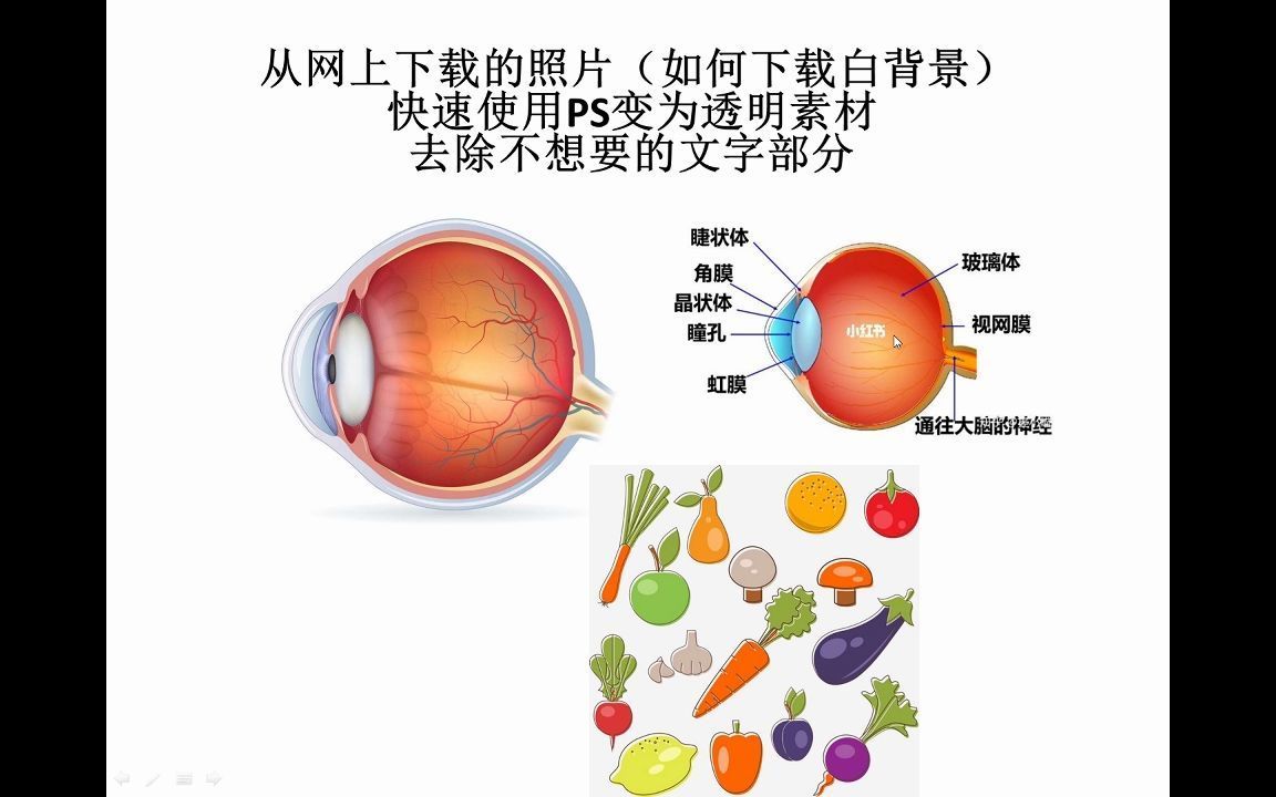 【科研绘图】从网上下载的照片 快速使用PS变为透明素材 去除不想要的文字部分(如何下载白背景,透明素材)哔哩哔哩bilibili