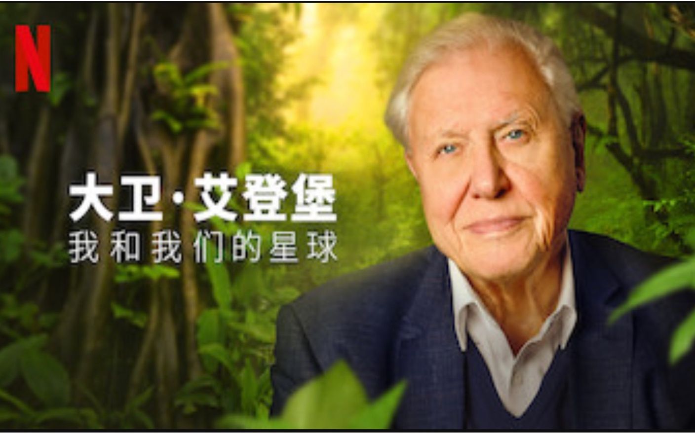 [图]【Netflix】大卫·爱登堡：我和我们的星球 1080P中英文双语字幕 David Attenborough A Life On Our Planet