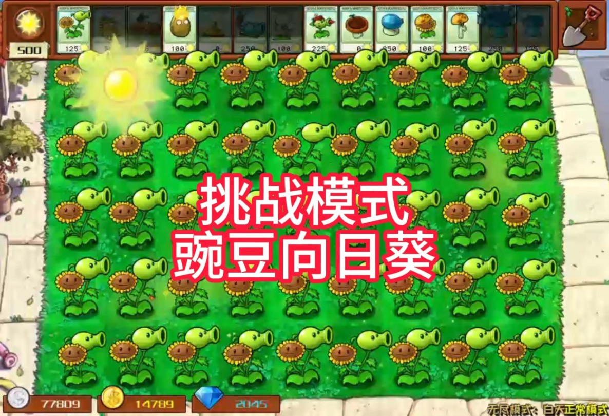 号外号外,豌豆向日葵说要单挑僵王!#植物大战僵尸杂交