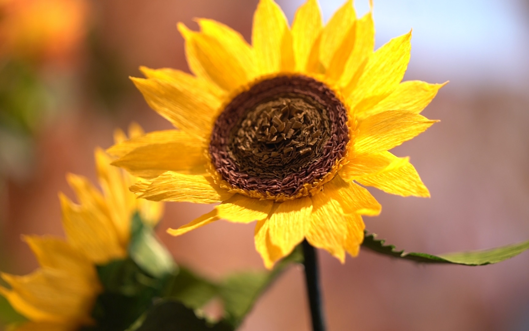 【向日葵折纸】向阳而生的花,给人带来温暖与希望