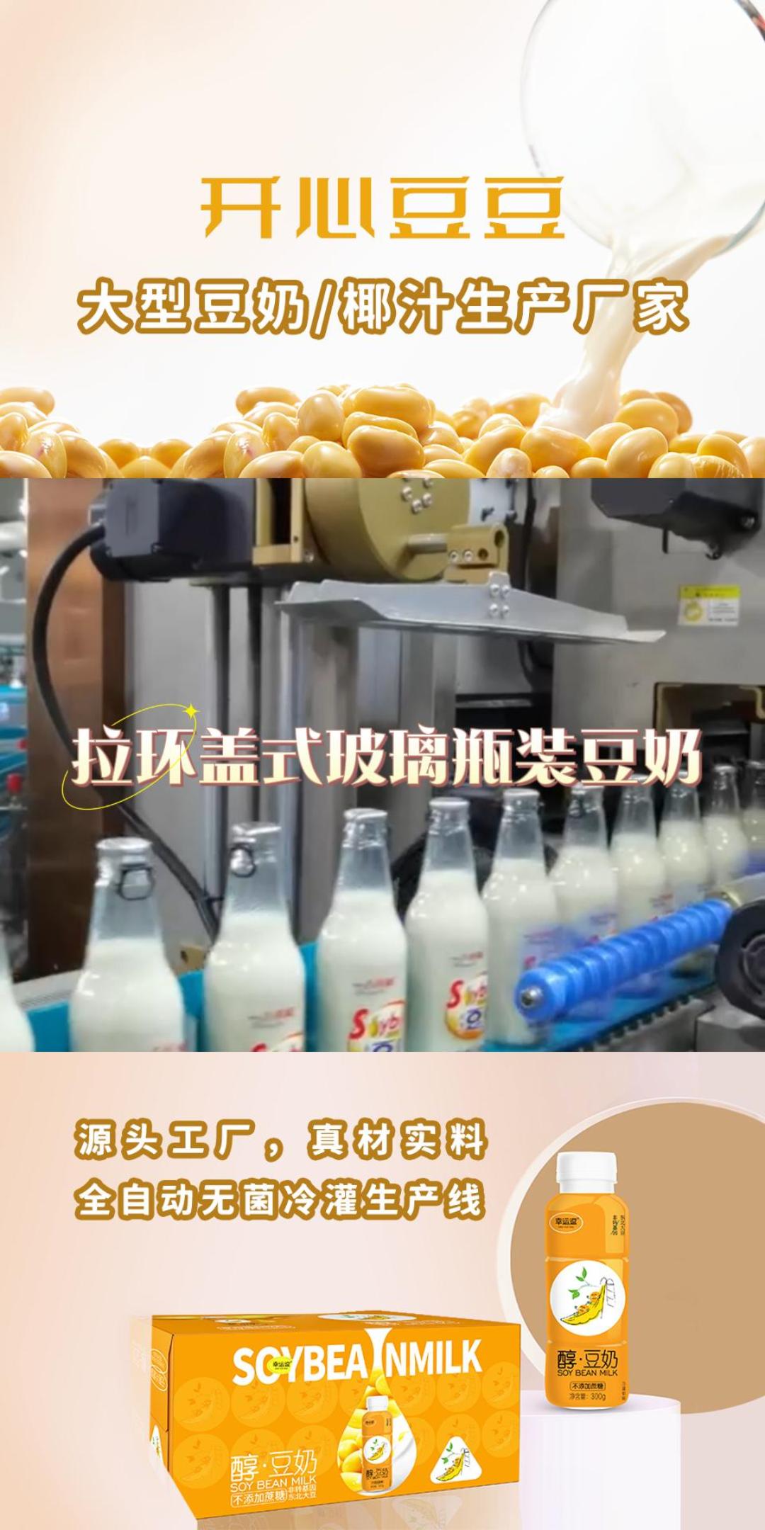 广东豆奶加工,广东豆奶加工厂家带来拉环盖式玻璃瓶装豆奶展示;厂家