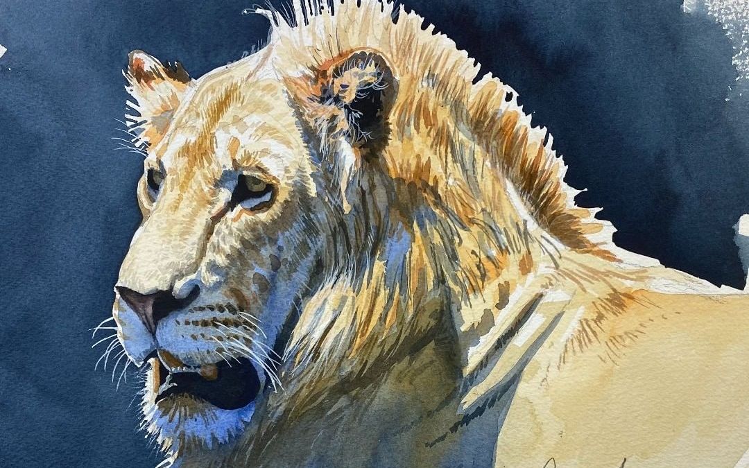 水彩狮子