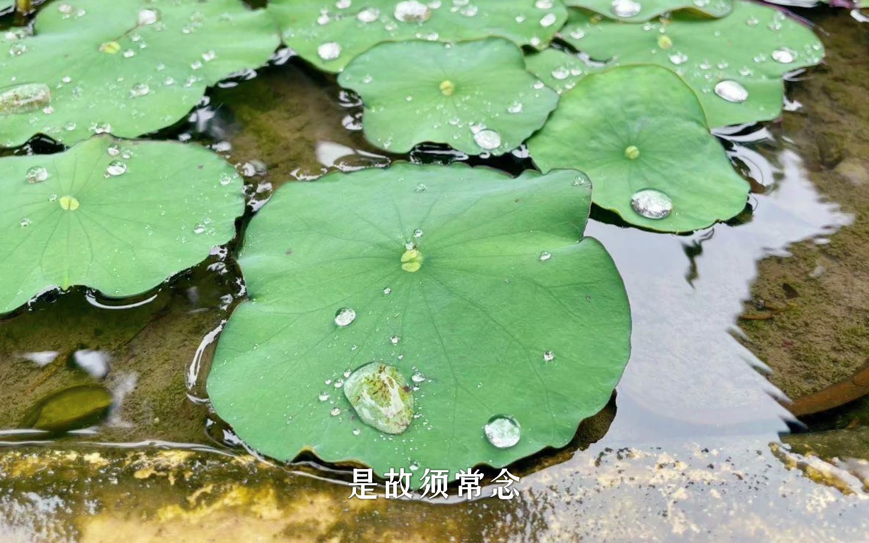 [图]【普陀山之旅】妙音观世音，梵音海潮音，倾听修行