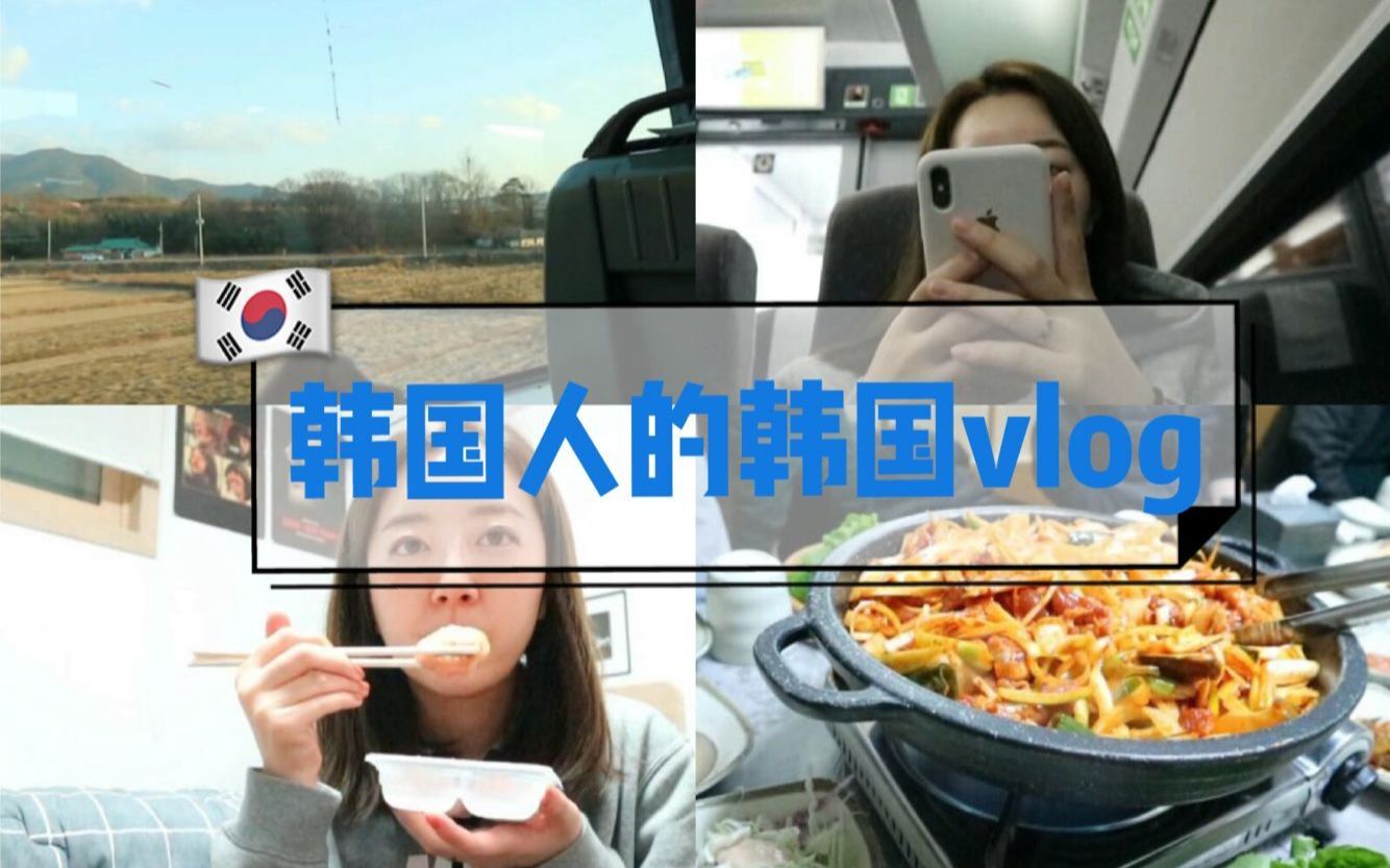 【韩国Vlog】韩国人的韩国日常VLOG哔哩哔哩bilibili