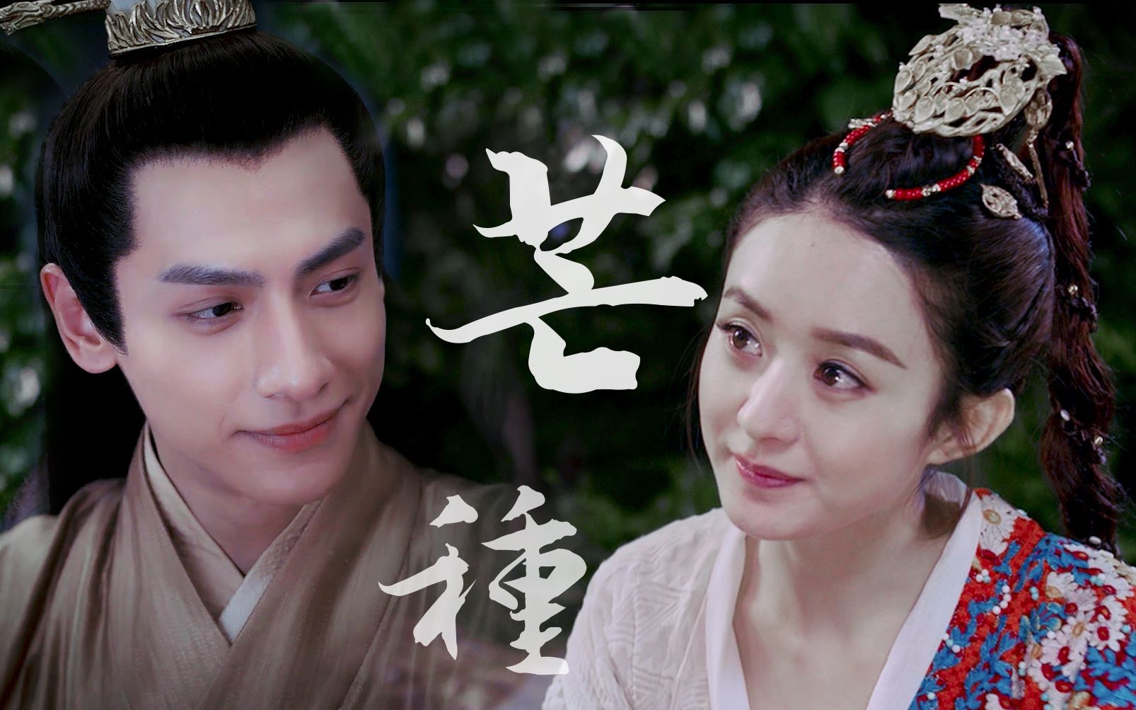 罗云熙赵丽颖芒种谓我何求容齐x小国王