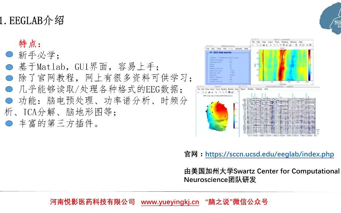 悦影科技EEG/ERP基础知识系列讲座第8讲:EEGLAB工具包的介绍、下载和安装哔哩哔哩bilibili