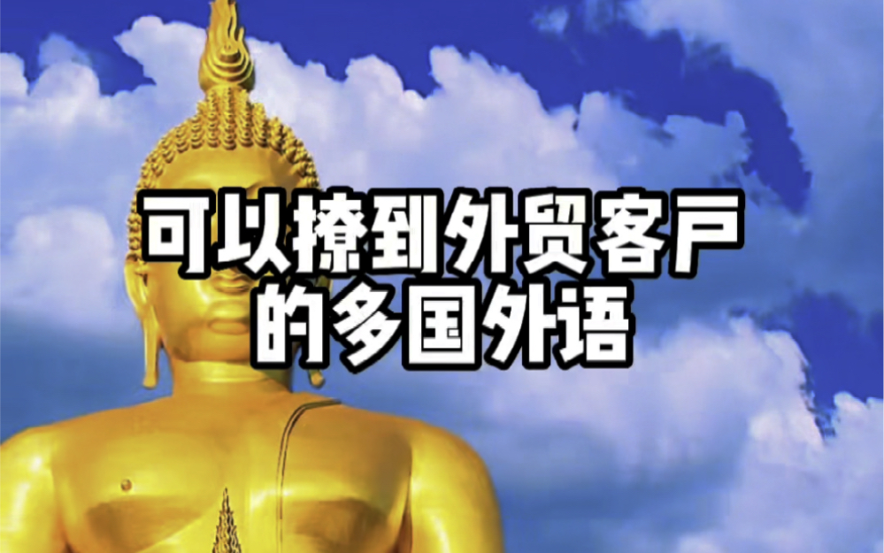 瞬间学会几句多国外语,拉近你跟小语种国家客户的距离!泰国、印度、德国、意大利和法语!#外贸soho #英语口语 #外贸英语 #语哥来了 #商务英语哔哩...