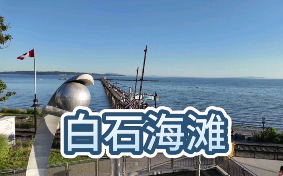 加拿大移民生活2024夏日温哥华白石海滩一瞥