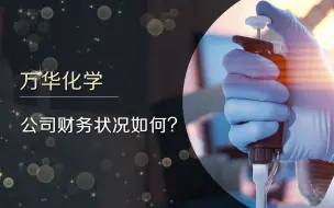 Download Video: 万华化学，财务状况如何？估值水平该如何看待？