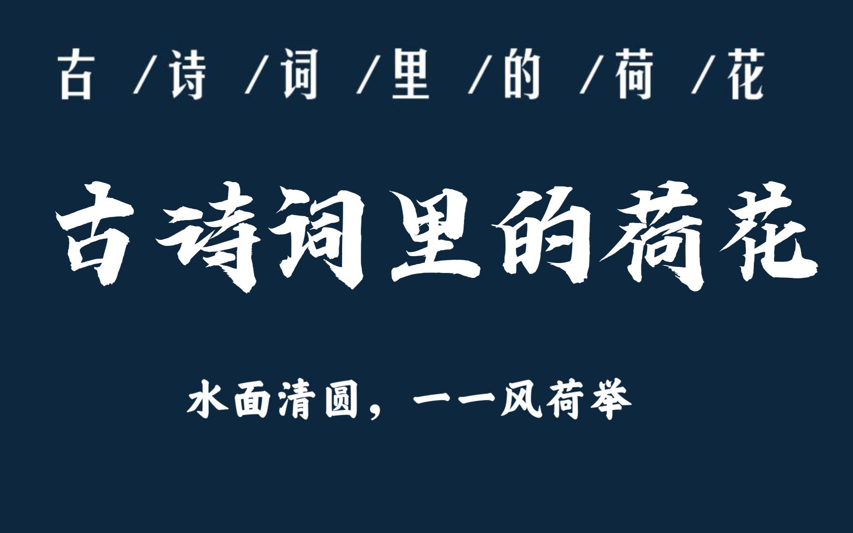 [图]“水面清圆，一一风荷举”| 古诗词里的荷花